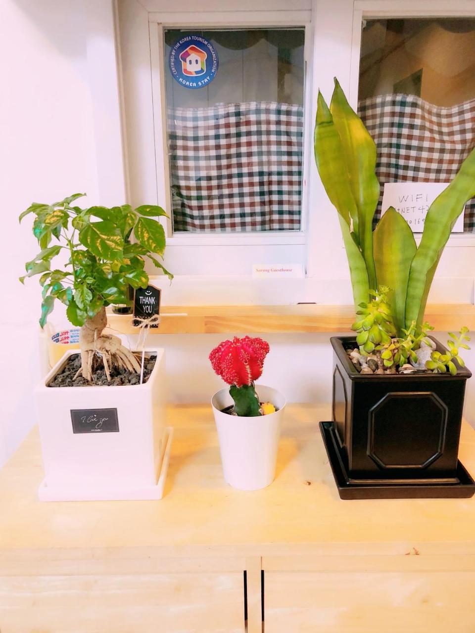 Sarang Guesthouse Dongdaemun Séoul Extérieur photo